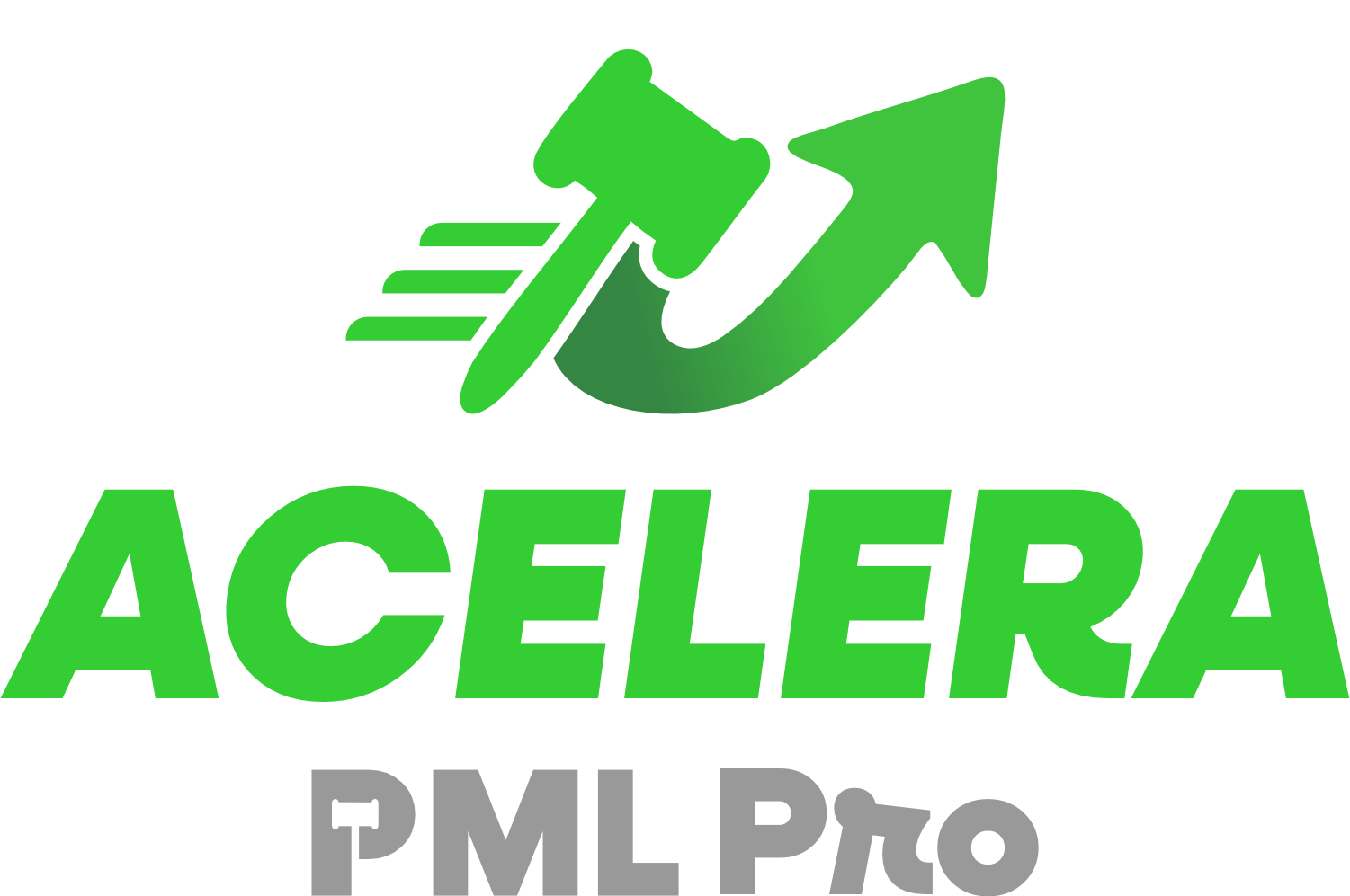 Acelera P Tab Acelera PML Pro